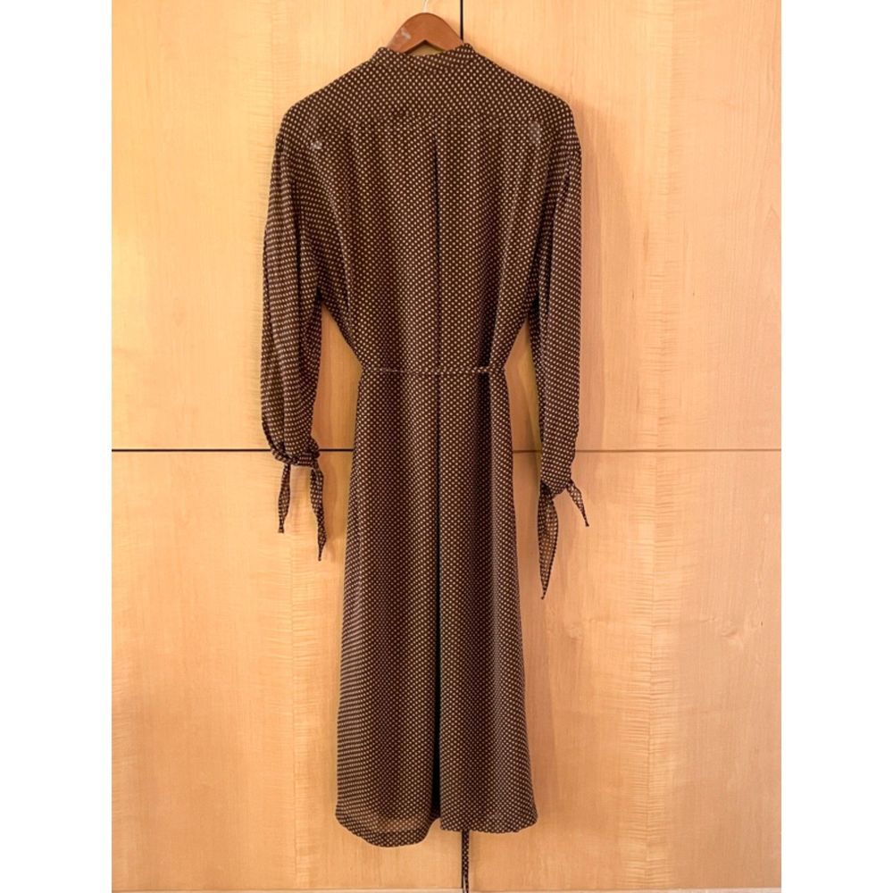 Sheer Brown Polk Dot Dress